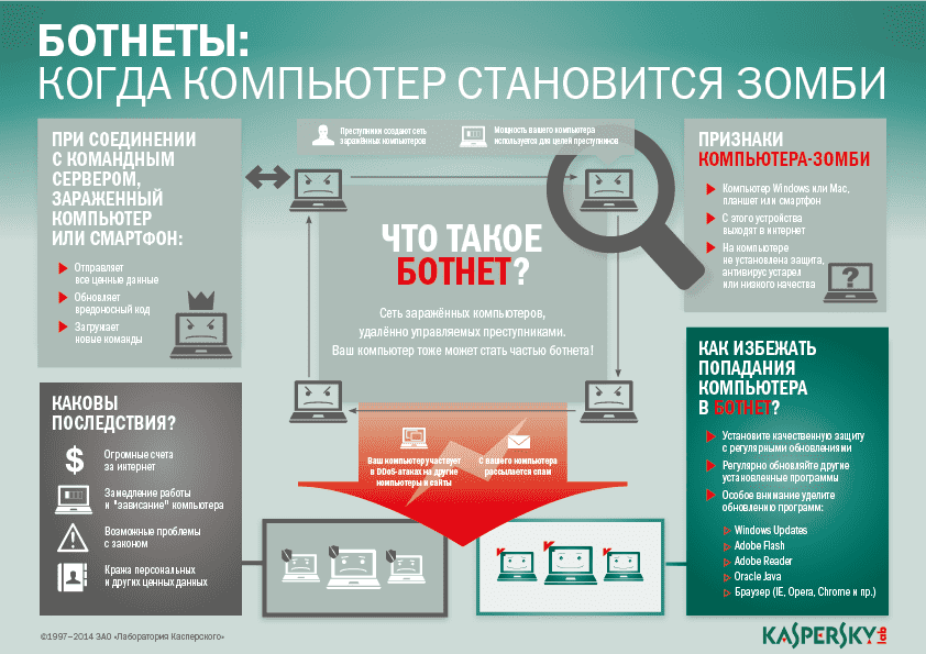 Botnet Infographic