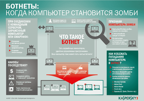 botnet infographic